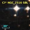 Cl* NGC 2516    SBL      76
