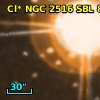 Cl* NGC 2516    SBL      86