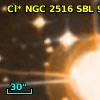 Cl* NGC 2516    SBL      91