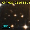 Cl* NGC 2516    SBL      96