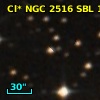 Cl* NGC 2516    SBL     110