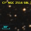 Cl* NGC 2516    SBL     113