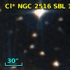 Cl* NGC 2516    SBL     131
