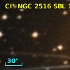 Cl* NGC 2516    SBL     132