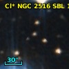 Cl* NGC 2516    SBL     134