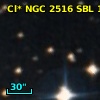 Cl* NGC 2516    SBL     135