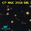 Cl* NGC 2516    SBL     139