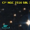 Cl* NGC 2516    SBL     157