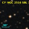 Cl* NGC 2516    SBL     163