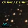 Cl* NGC 2516    SBL     164