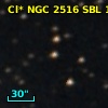 Cl* NGC 2516    SBL     165