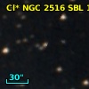 Cl* NGC 2516    SBL     171
