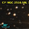 Cl* NGC 2516    SBL     172