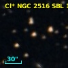 Cl* NGC 2516    SBL     176
