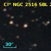 Cl* NGC 2516    SBL     204
