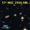 Cl* NGC 2516    SBL     205