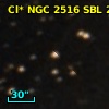 Cl* NGC 2516    SBL     207