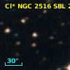 Cl* NGC 2516    SBL     208