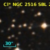 Cl* NGC 2516    SBL     217