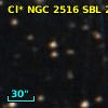 Cl* NGC 2516    SBL     224