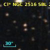 Cl* NGC 2516    SBL     226