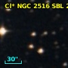 Cl* NGC 2516    SBL     228