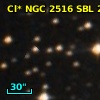 Cl* NGC 2516    SBL     230
