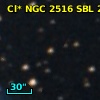 Cl* NGC 2516    SBL     235