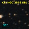 Cl* NGC 2516    SBL     238