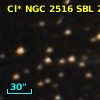 Cl* NGC 2516    SBL     245