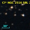 Cl* NGC 2516    SBL     251