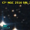 Cl* NGC 2516    SBL     254