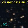 Cl* NGC 2516    SBL     255