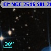 Cl* NGC 2516    SBL     261
