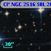 Cl* NGC 2516    SBL     264