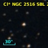 Cl* NGC 2516    SBL     266
