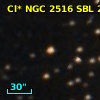 Cl* NGC 2516    SBL     269