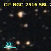 Cl* NGC 2516    SBL     271