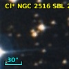 Cl* NGC 2516    SBL     289