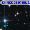 Cl* NGC 2516    SBL     293
