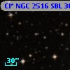 Cl* NGC 2516    SBL     300