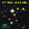 Cl* NGC 2516    SBL     301