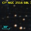 Cl* NGC 2516    SBL     302