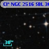 Cl* NGC 2516    SBL     303