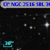 Cl* NGC 2516    SBL     304