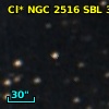 Cl* NGC 2516    SBL     311