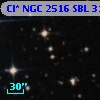 Cl* NGC 2516    SBL     313