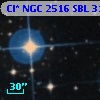 Cl* NGC 2516    SBL     315