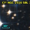 Cl* NGC 2516    SBL     330