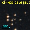 Cl* NGC 2516    SBL     335